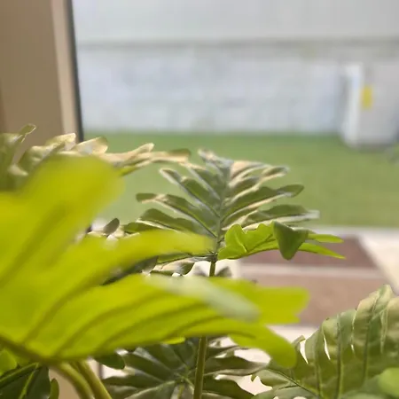 Vendégház Varandas Do Coliving *